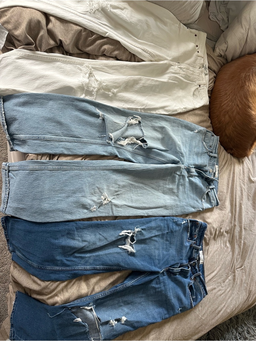 Abercrombie & Fitch curve love jeans